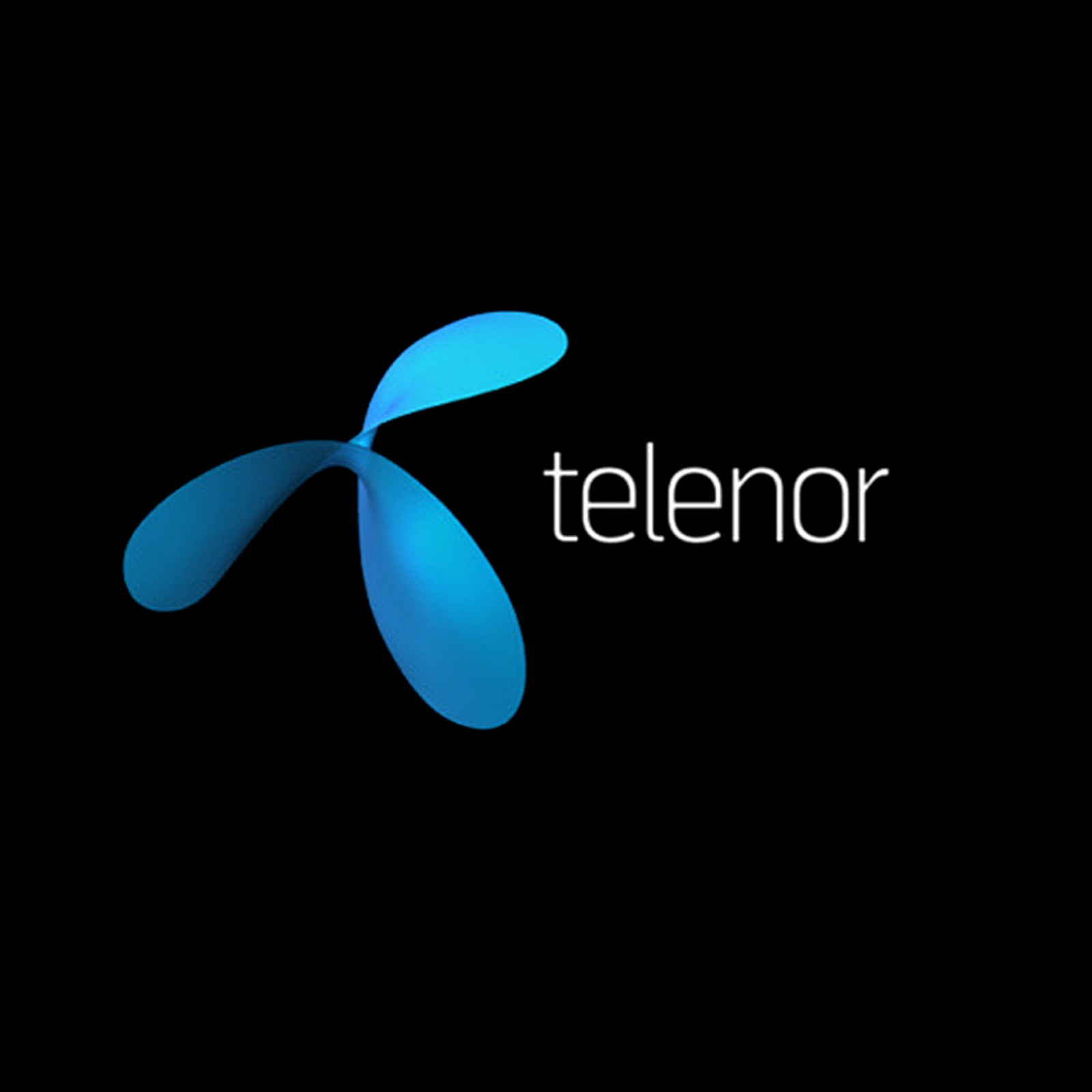 Telenor Bizmine project preview